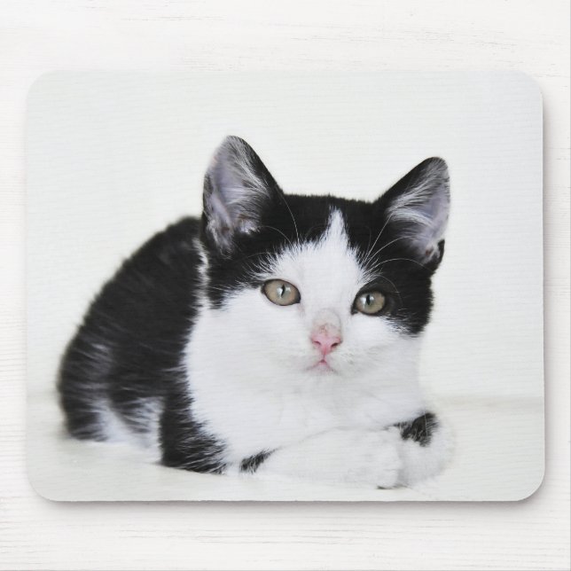 Tapis De Souris Chaton noir et blanc (Devant)
