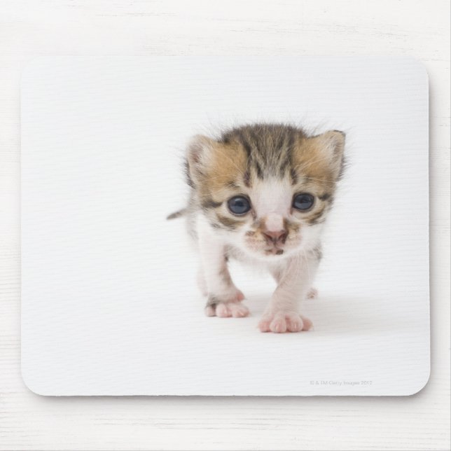 Tapis De Souris Chaton nouveau-né (Devant)