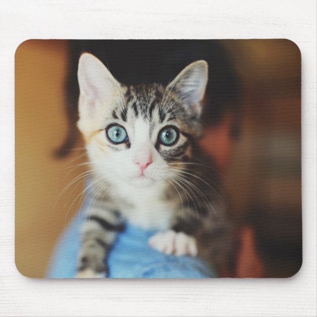 Tapis De Souris Chaton observé par bleu lumineux (Devant)
