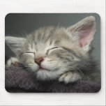 Tapis De Souris Chaton somnolent<br><div class="desc">Sommeil gris de chaton</div>