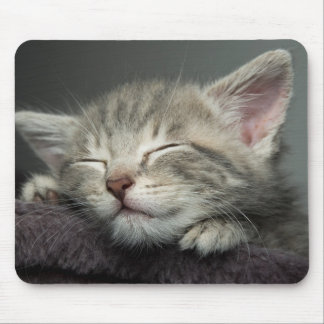 Tapis De Souris Chaton somnolent