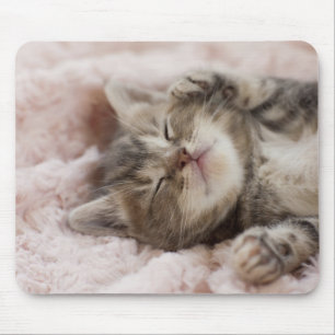 Tapis De Souris Chaton somnolent