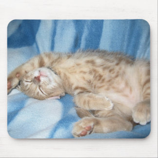 Tapis De Souris Chaton somnolent Mousepad
