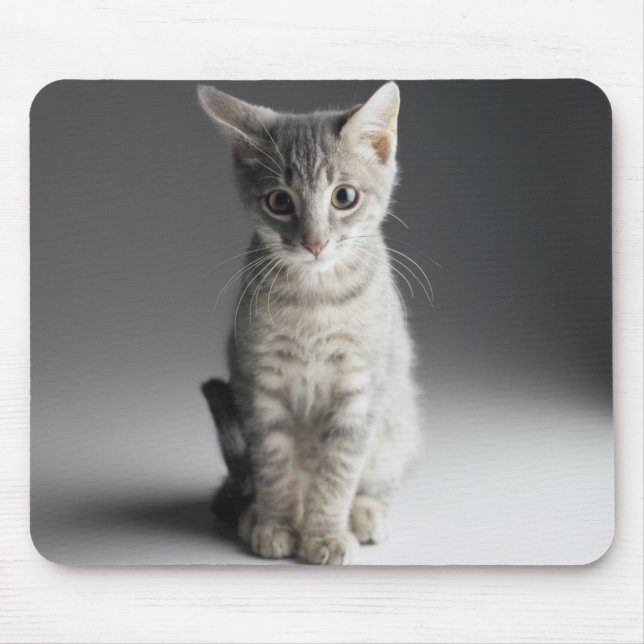 Tapis De Souris Chaton tigré bleu (Devant)