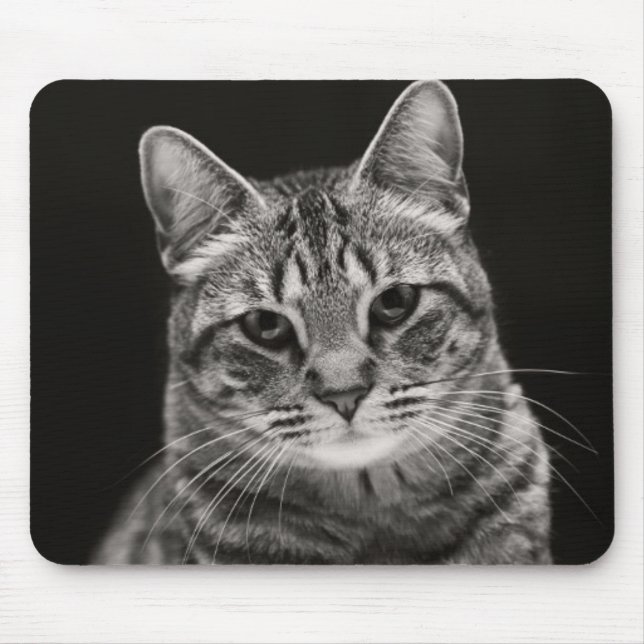 Tapis De Souris Chaton tigré noir (Devant)