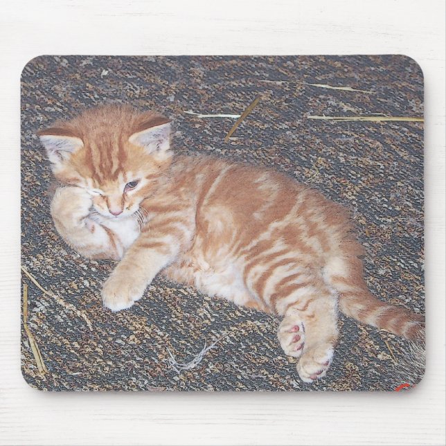 Tapis De Souris Chaton tigré orange (Devant)