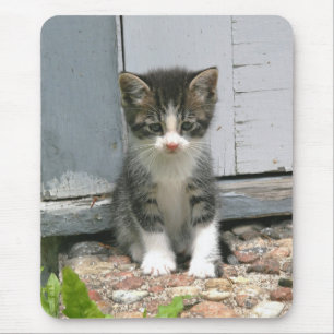 Tapis De Souris Chaton triste seul Mousepad de chat de Gershwin