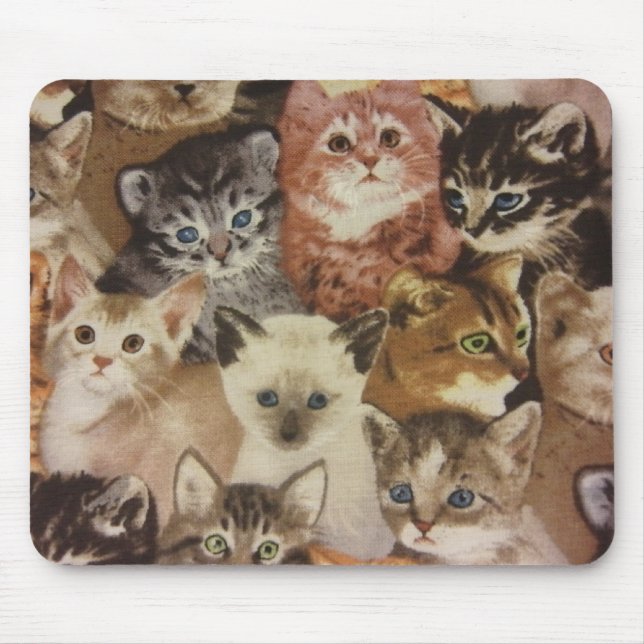 Tapis De Souris Chatons (Devant)