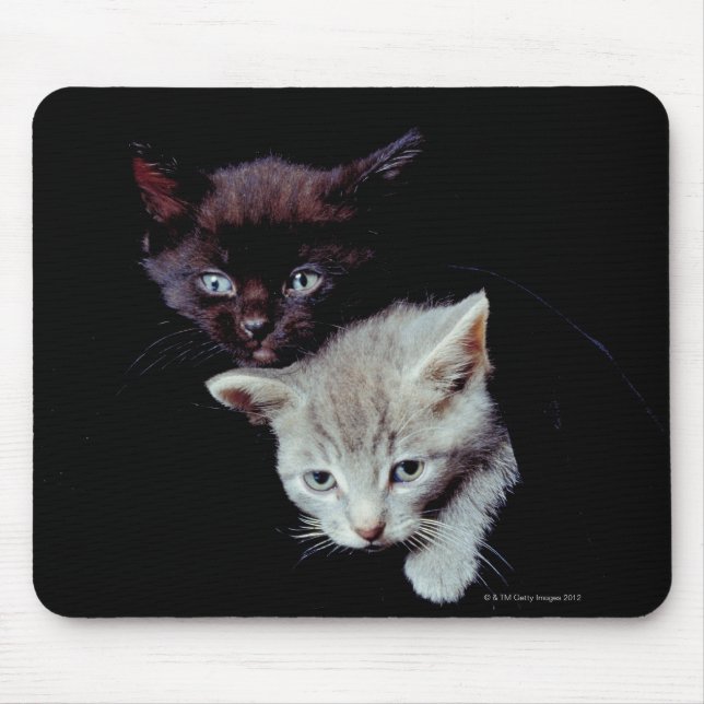 Tapis De Souris Chatons clairs et foncés (Devant)