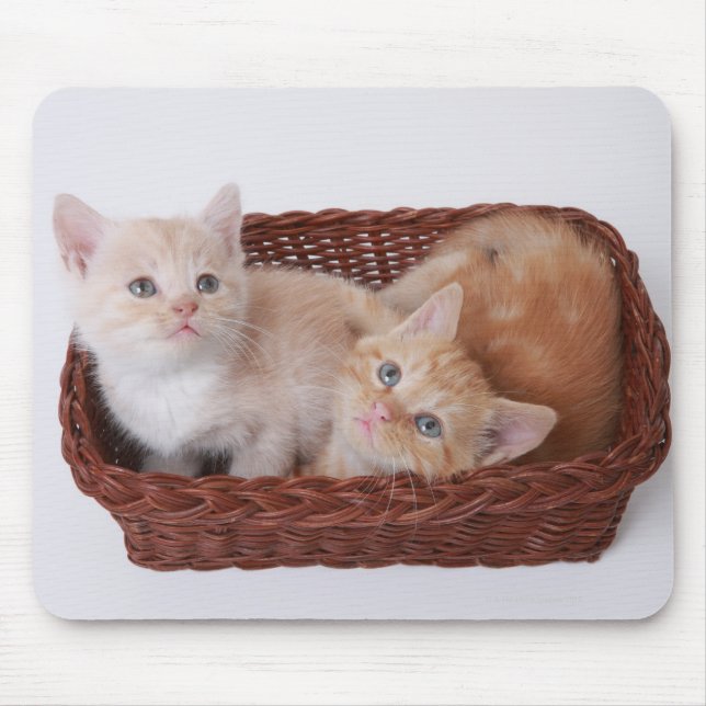 Tapis De Souris Chatons dans le panier (Devant)