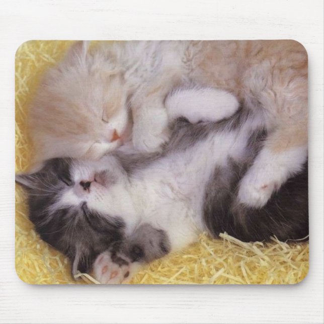 Tapis De Souris Chatons de sommeil (Devant)