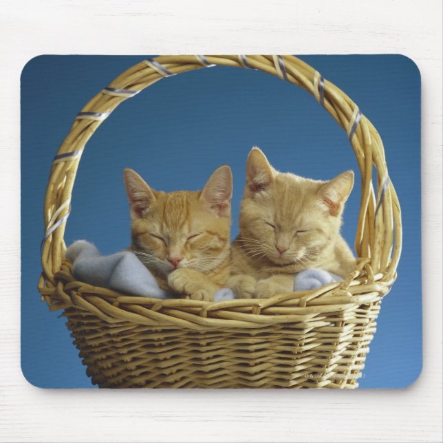 Tapis De Souris Chatons dormant dans le panier (Devant)