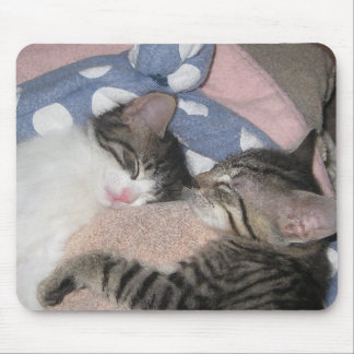 Tapis De Souris Chatons doux de sommeil