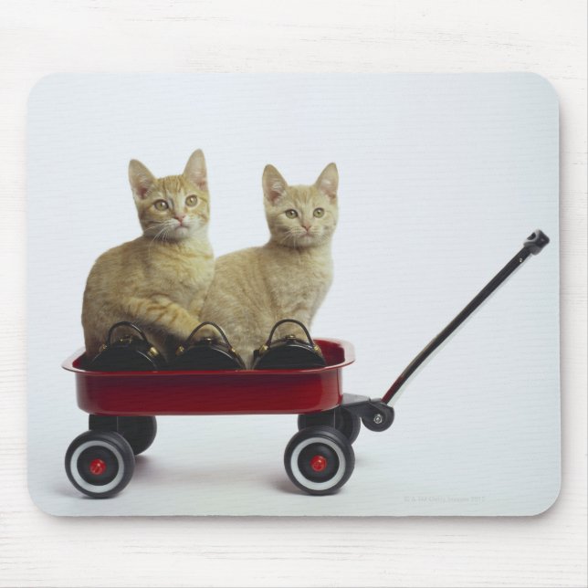 Tapis De Souris Chatons en wagon (Devant)