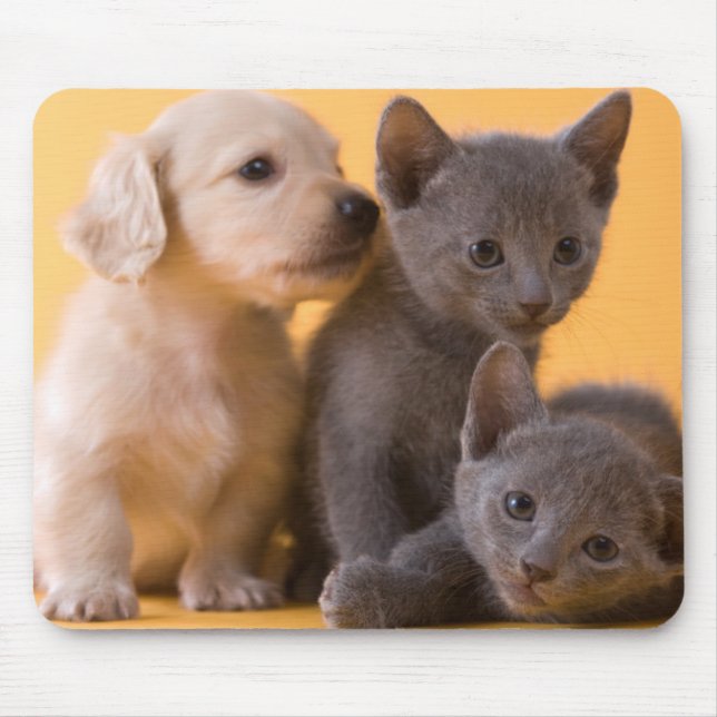Tapis De Souris Chatons et chiots bleus russes de teckel (Devant)