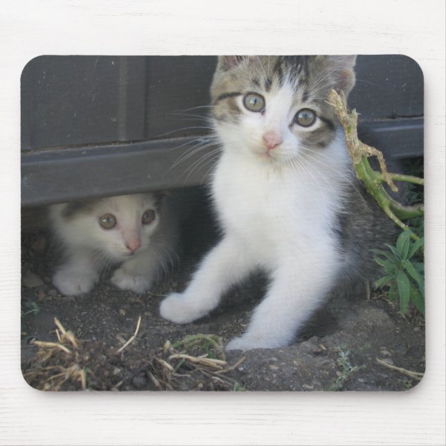 Tapis De Souris Chatons jouant à la ferme Mousepad (Devant)