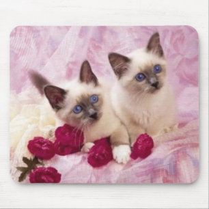 Tapis De Souris chatons siamois