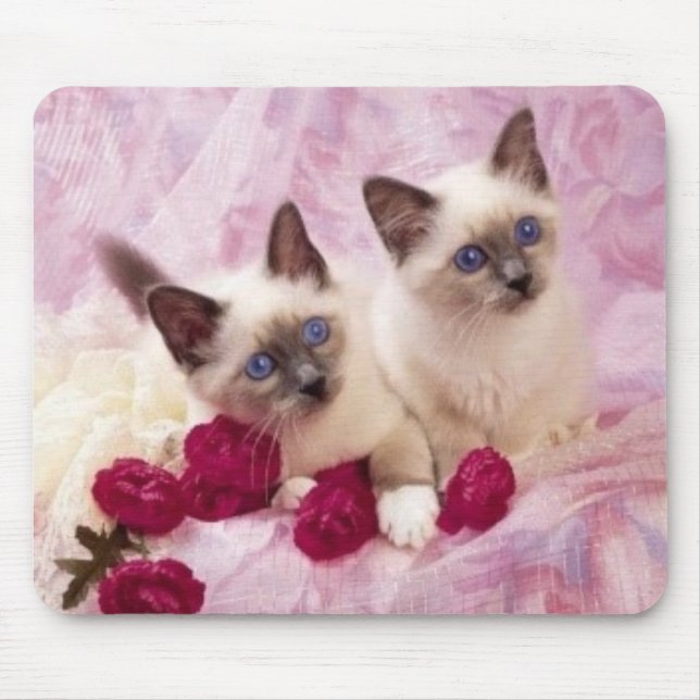 Tapis De Souris chatons siamois (Devant)