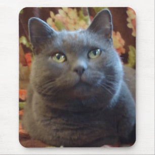 Tapis De Souris Chatouillements