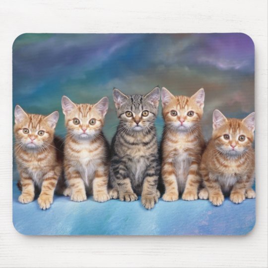 Tapis De Souris Chats Zazzle Fr