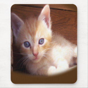 Tapis De Souris Chats