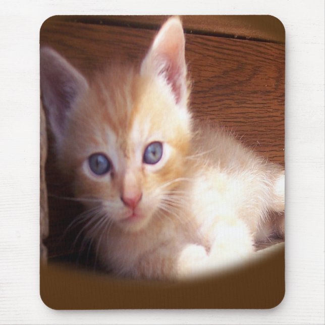Tapis De Souris Chats (Devant)