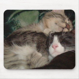 Tapis De Souris Chats de moissons 3 Mousepad