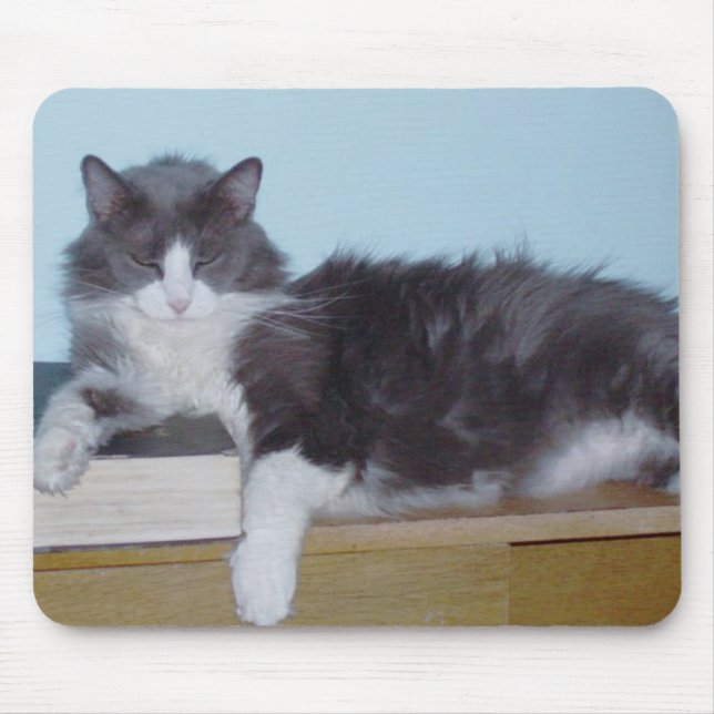 Tapis De Souris Chats de moissons 9 Mousepad (Devant)