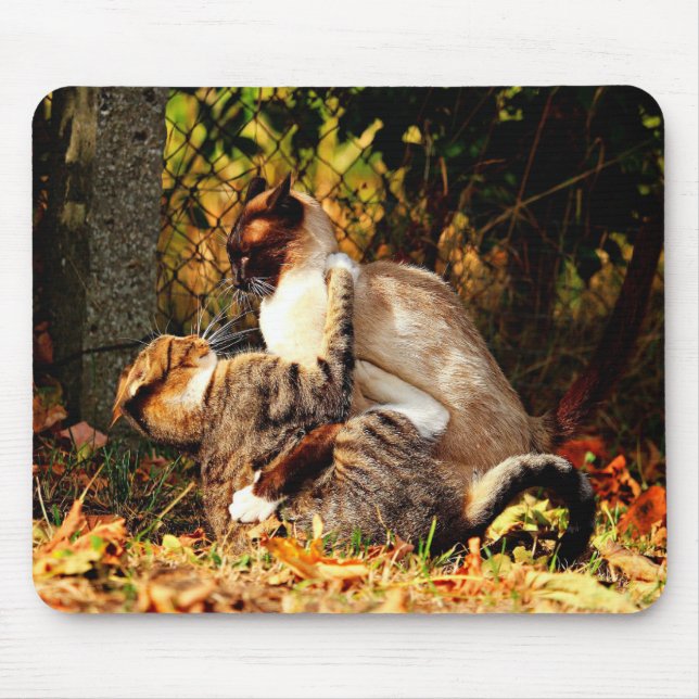Tapis De Souris Chats Mousepad (Devant)