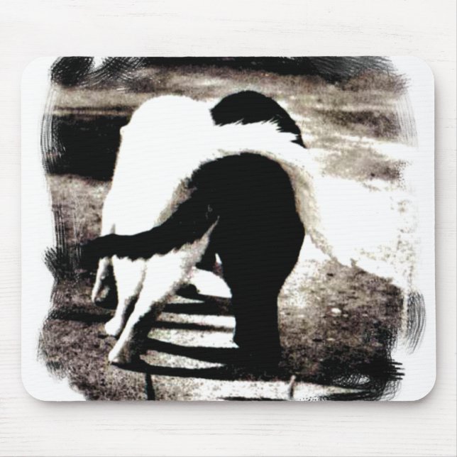 Tapis De Souris Chats noirs et blancs (Devant)