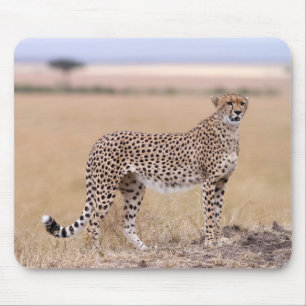 Tapis De Souris Cheetah