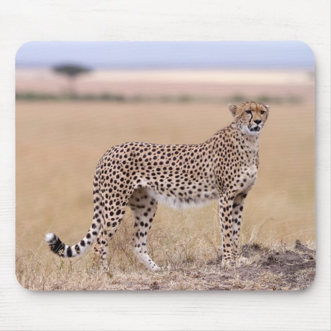 Tapis De Souris Cheetah (Devant)