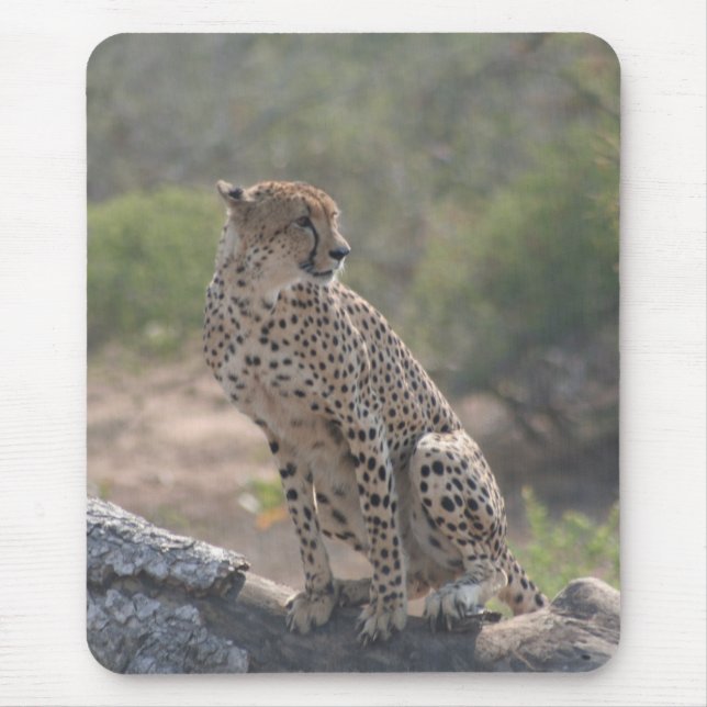 Tapis De Souris Cheetah (Devant)