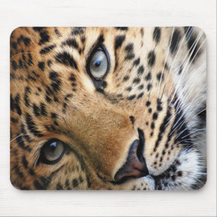 Tapis De Souris Cheetah