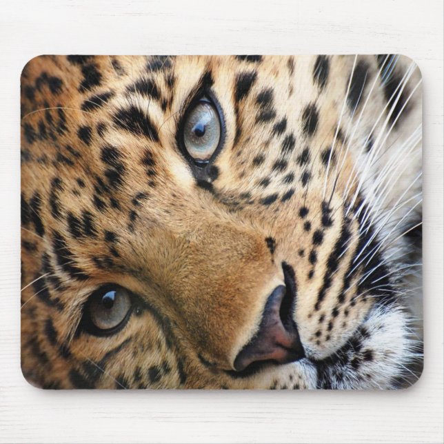 Tapis De Souris Cheetah (Devant)