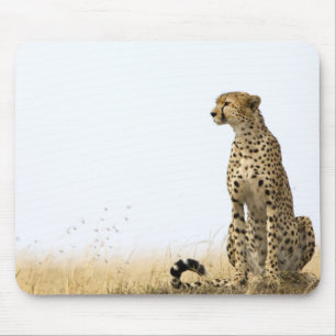 Tapis De Souris Cheetah