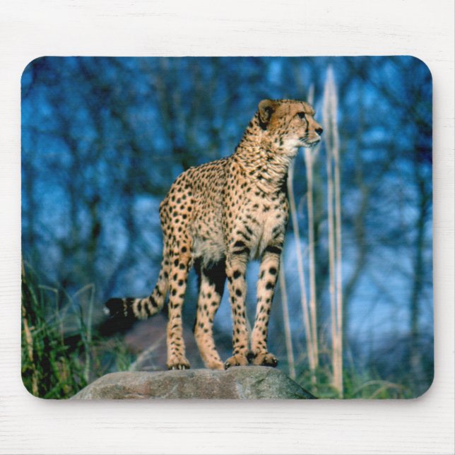 Tapis De Souris Cheetah animal (Devant)