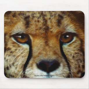 TAPIS DE SOURIS CHEETAH FACE
