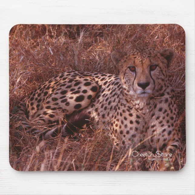 Tapis De Souris Cheetah Stare (Devant)