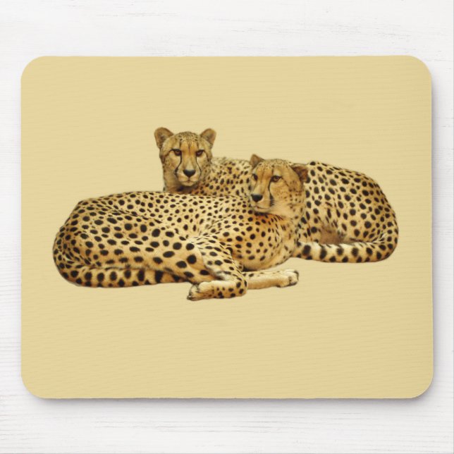 Tapis De Souris Cheetahs (Devant)
