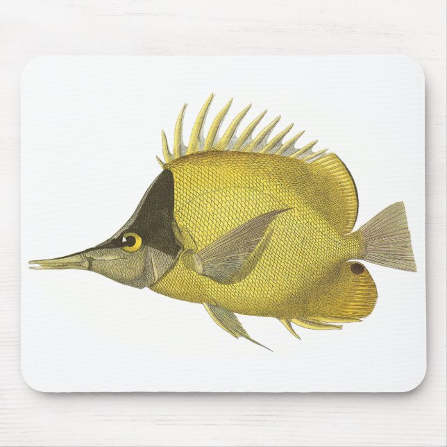 Tapis De Souris Chelmon Longirostris Tropical Jaune, Poisson Vinta (Devant)