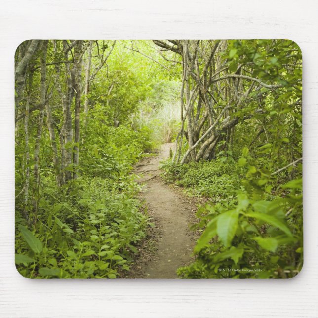 Tapis De Souris Chemin à travers la forêt (Devant)