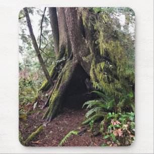 Tapis De Souris Chemin de la boucle de la forêt côtière, Cape Disn