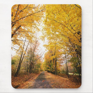 Tapis De Souris Chemin de marche du Foliage d'automne