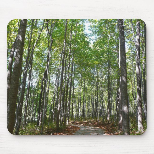Tapis De Souris Chemin en bois centenaire II Ellicott City Marylan (Devant)