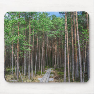 Tapis De Souris Chemin en bois dans la pinède