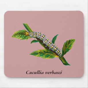 Tapis De Souris chenille de Cucullia verbasci