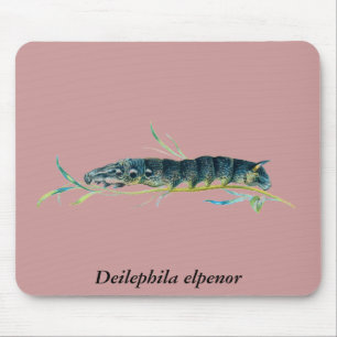 Tapis De Souris chenille elpenor deilephila