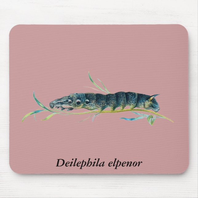 Tapis De Souris chenille elpenor deilephila (Devant)