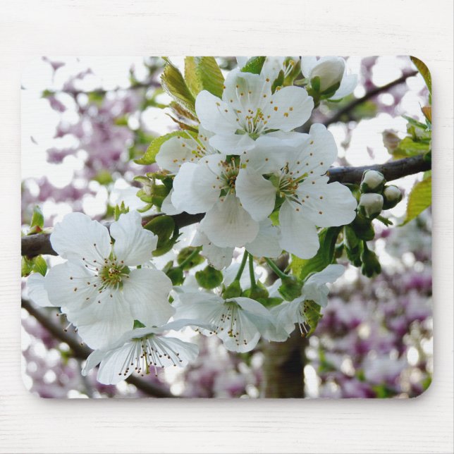 Tapis De Souris Cherry Blossom (Devant)